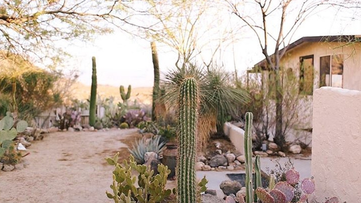 Hacienda Garden