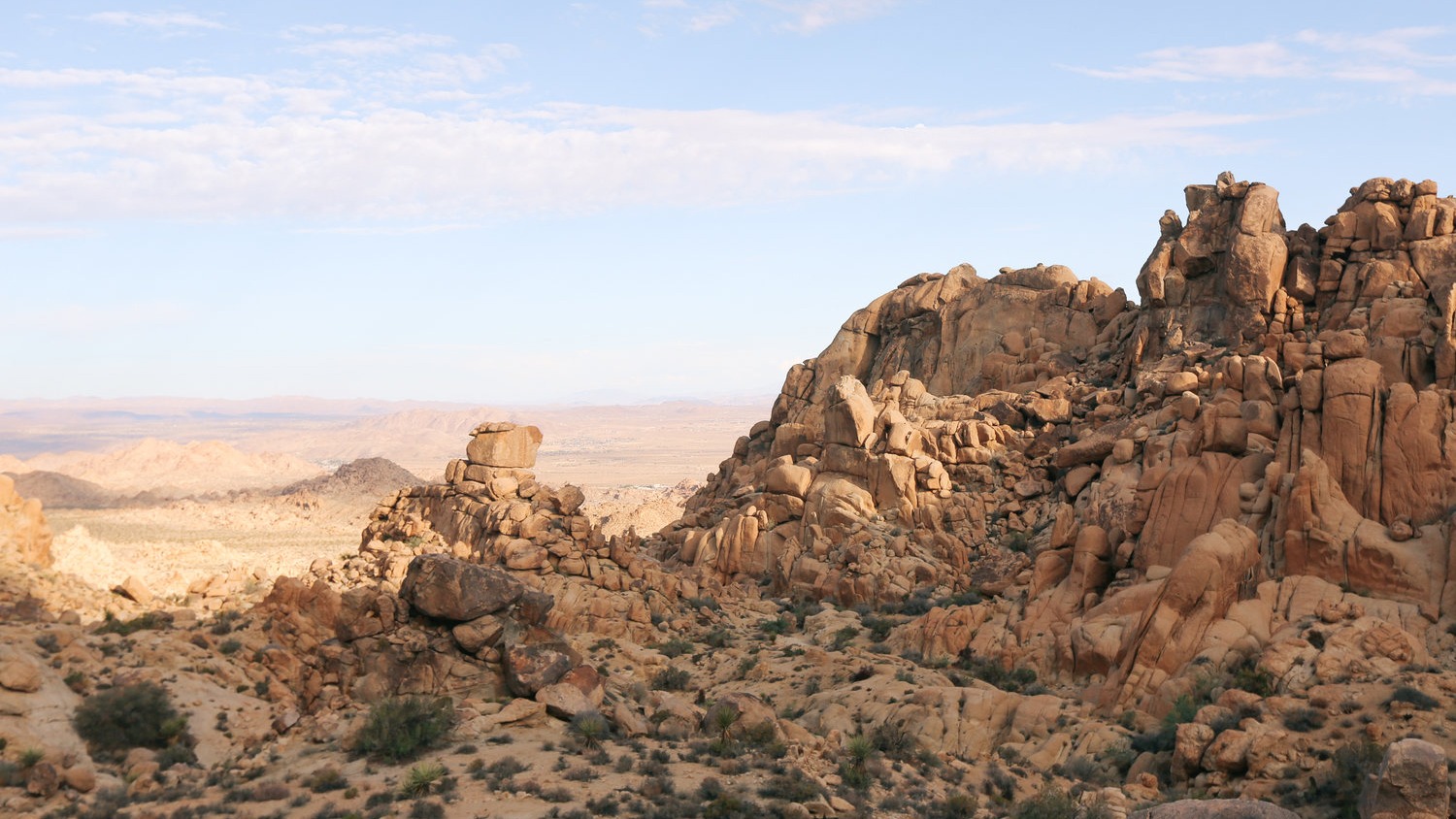 Northview Trail at Joshua Tree National Park