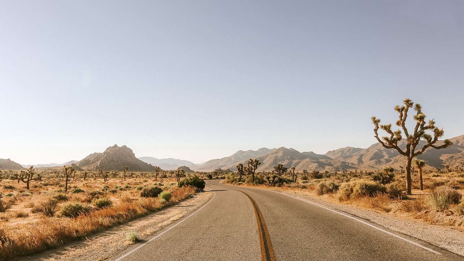 Road in Joshua Tree National Park