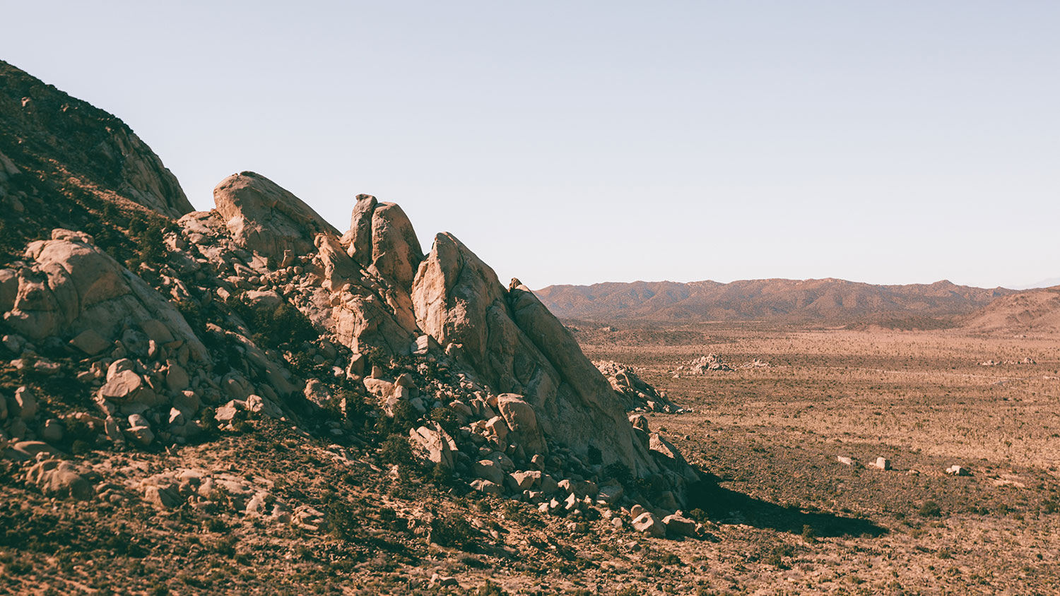 Ryan Mountain Joshua Tree National Park