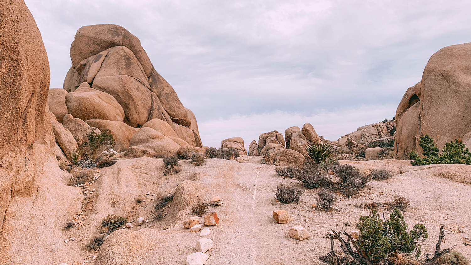 Split Rock Loop Trail in Joshua Tree National Park