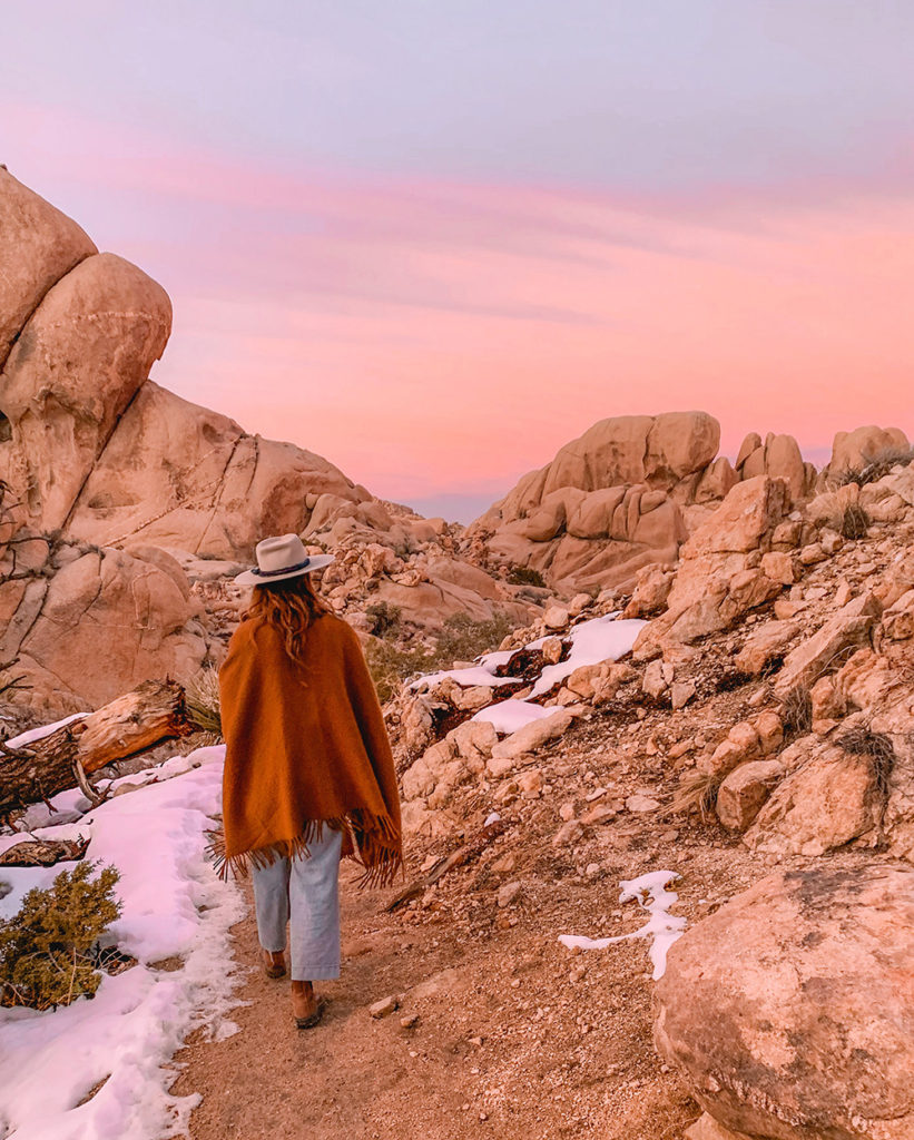 Split Rock Loop Trail in Joshua Tree National Park—Field Guide