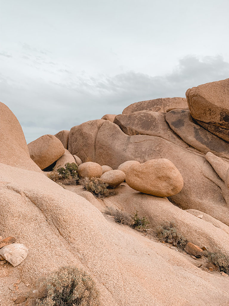 Split Rock Loop Trail in Joshua Tree National Park—Field Guide