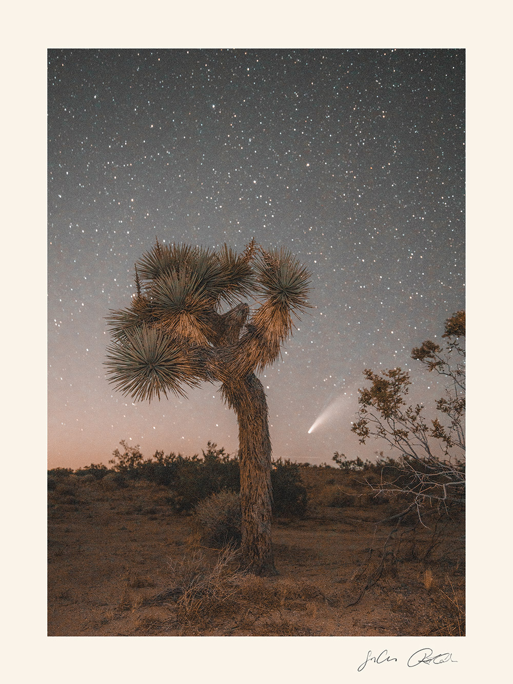 The Joshua Tree House Joshua Tree, Tucson, Marfa Short Term Rentals