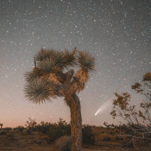 Joshua Tree Comet