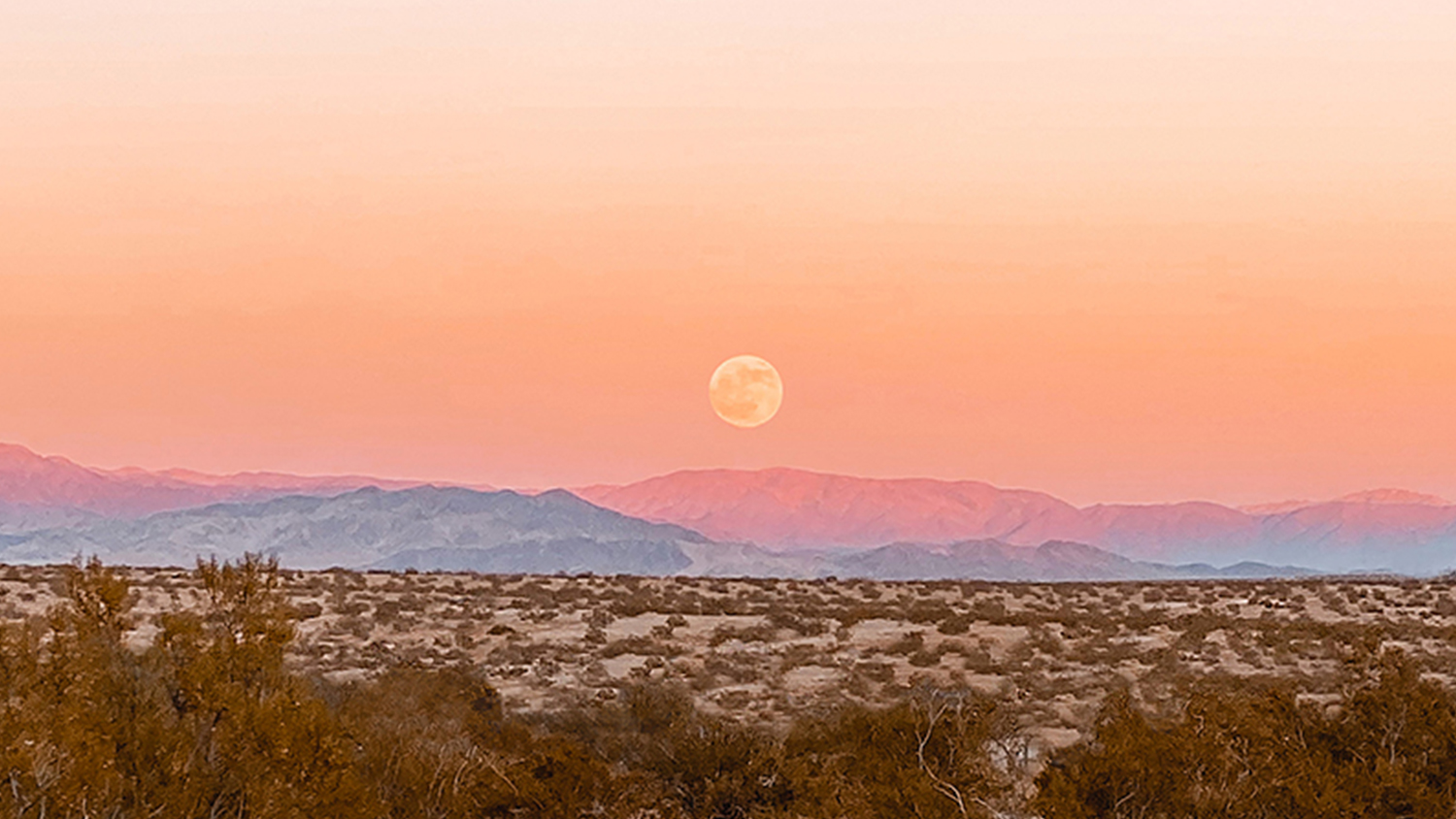 Moonrise over the desert