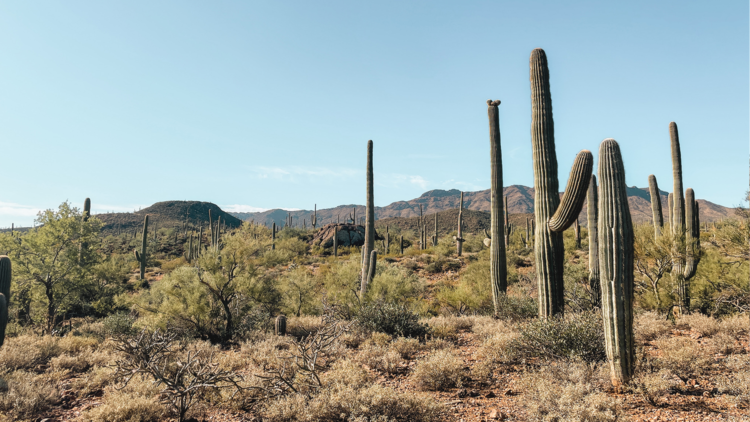 Black Rock Loop in Tucson, AZ