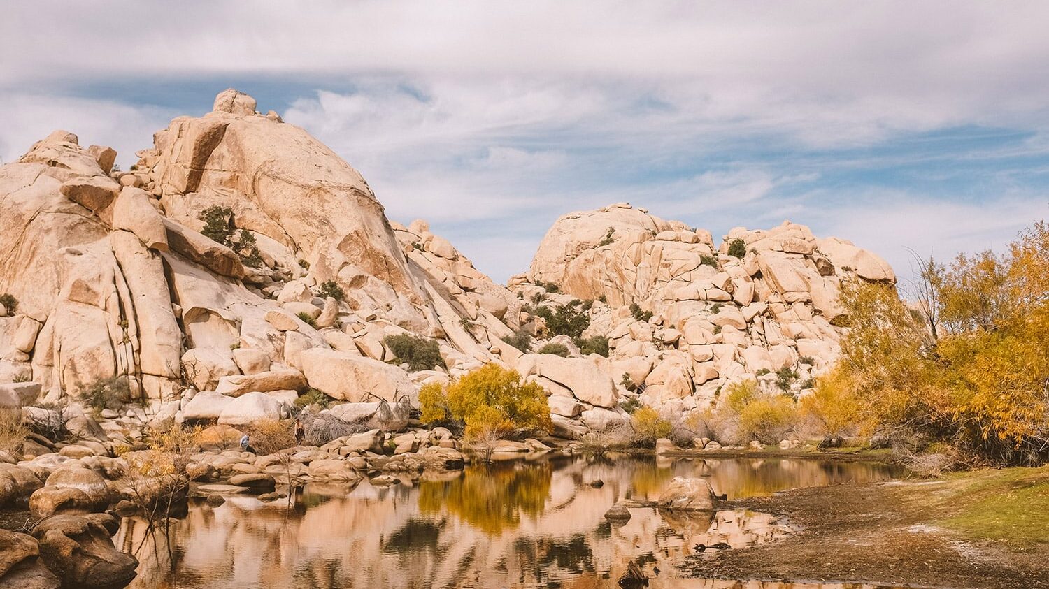 water in Barker Dam, Joshua Tree National Park