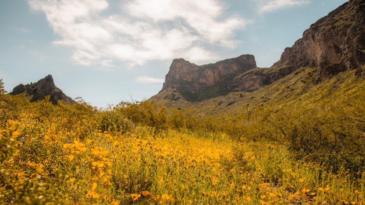 Picacho peak