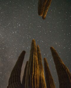 Guided Stargazing