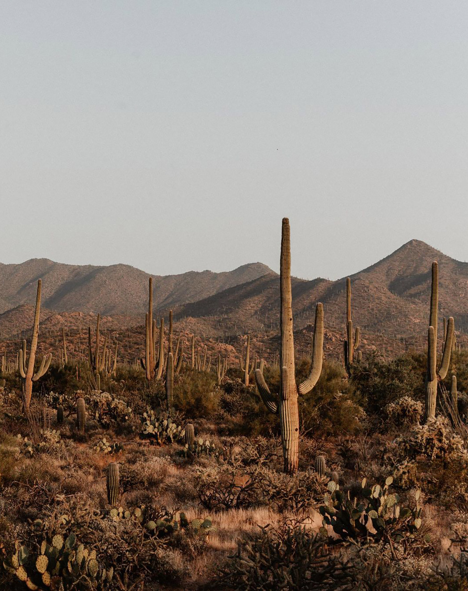 Intro to Earth Building Workshop – August 23rd & 24th, 2025 – SOLD OUT - Image 6