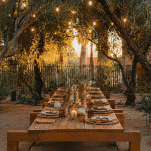 JTH Tucson Olive Grove Dinner